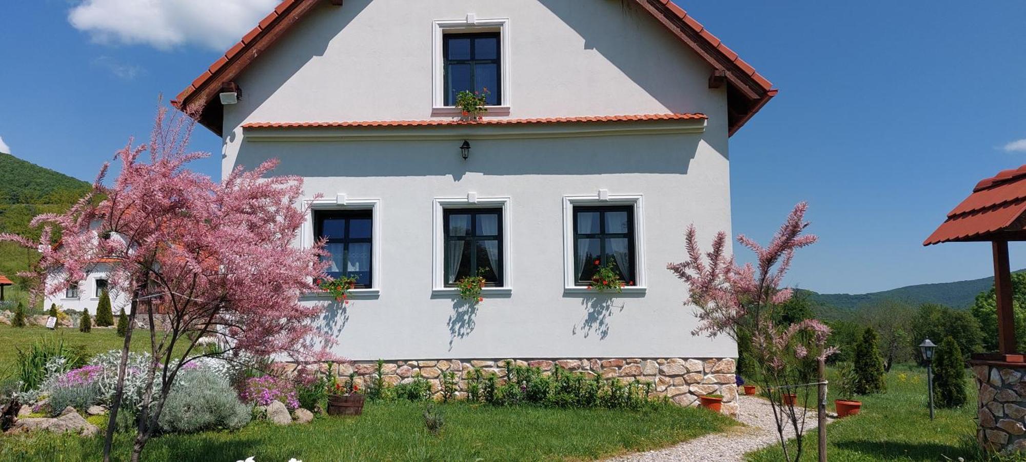 Pensiunea Kiralylany Vendeghaz Rimetea Exterior foto